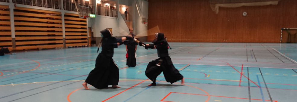 Vårmesterskapet Kyu-turnering 2019